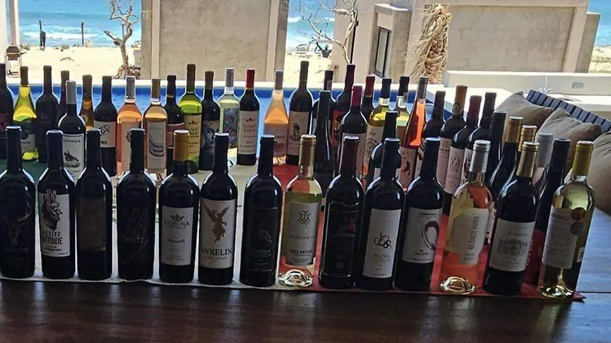 festejan el vino mexicano en los cabos